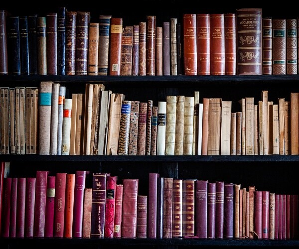 books on book shelves