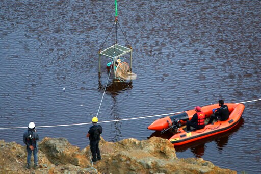 Cyprus Police Chief Fired over Serial Killer Case