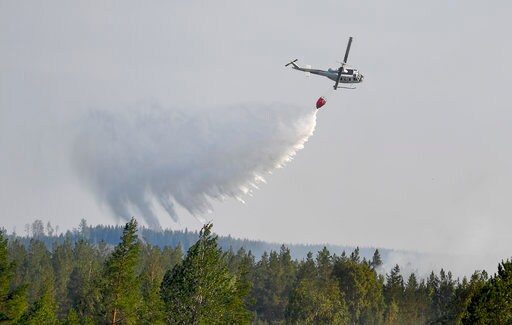 EU Nations Help Sweden as Wildfires Rage above Arctic Circle