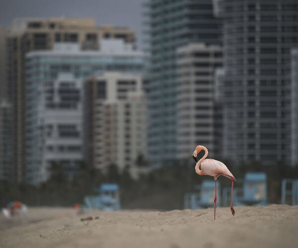 Miami Beach Dropped From List of Potential DNC 2020 Convention Hosts