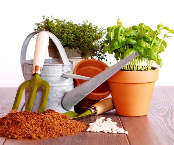 Town Bans Front-Yard Gardens; Florida Couple Sues for Their Rights