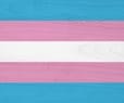 Most Transgender People Are Victims of Violence