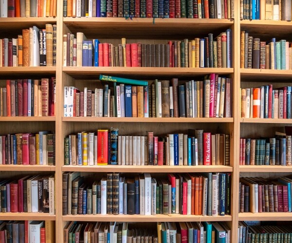 books in a wooden bookshelf