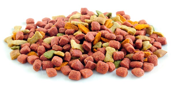 Best Dry Dog Food: The Ingredients You Want to See in Your Pet's Food