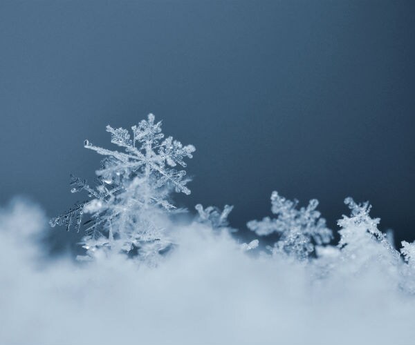 It's Always Winter But Never Christmas in Narnia and California