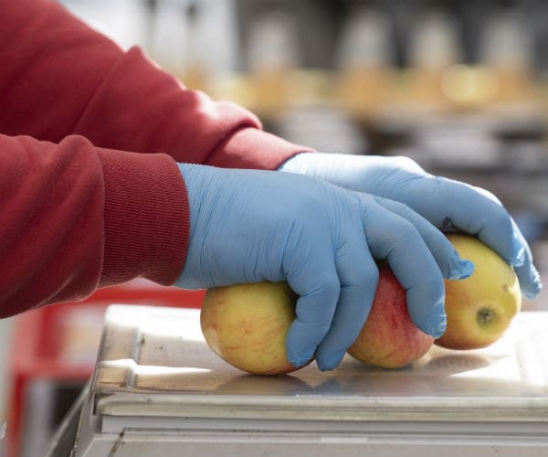 a shopper with disposable gloves puts apples on a scale