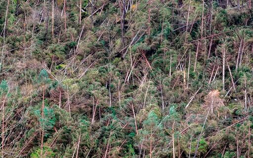 Rain-swollen River Floods House in Sicily, 9 Reported Killed