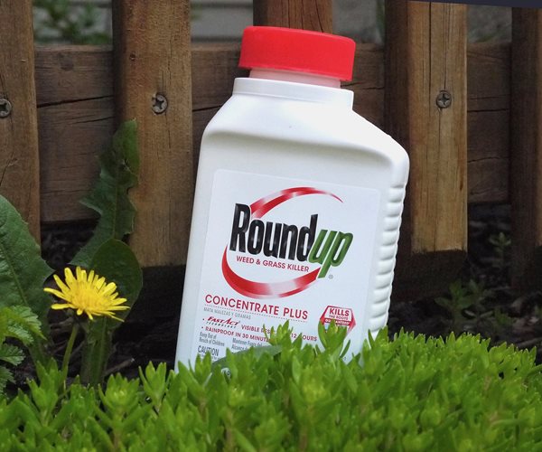 Juror Urges US Judge to Uphold $80 Million Roundup Verdict 