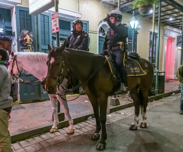 mounted police new orleans mardi gras 