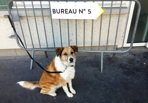 The Latest: French Voting site Reopens after Security Scare