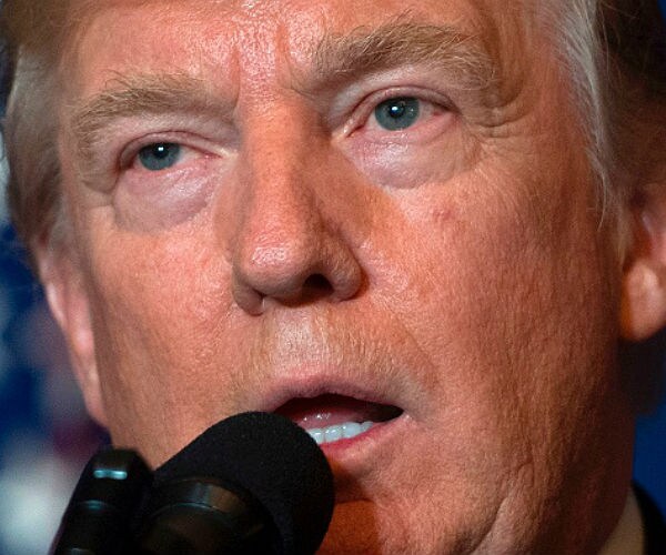 David Horowitz: Syrian Air Strike 'Sends Strong Signal America Is Back'