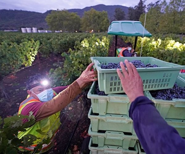 Wholesale Inflation Rises Hotter-Than-Expected 0.5%