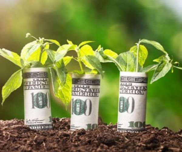 SEC to Crack Down on Fund 'Greenwashing' 