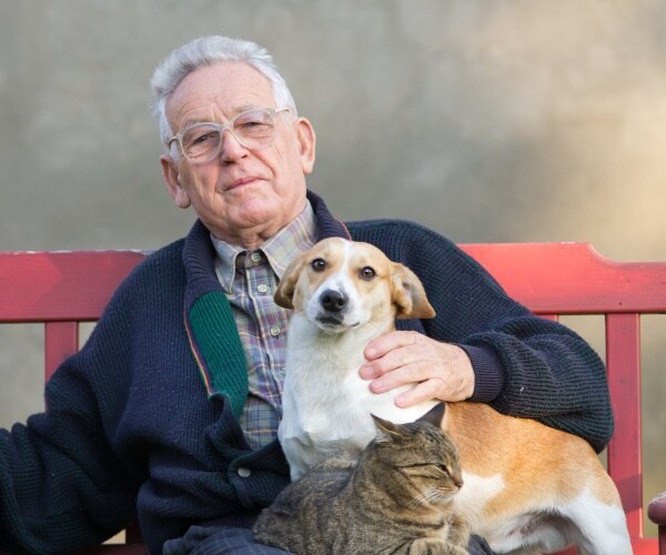 older man sitting on bench with a dog and cat