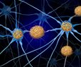 This Vitamin May Protect Against Alzheimer's