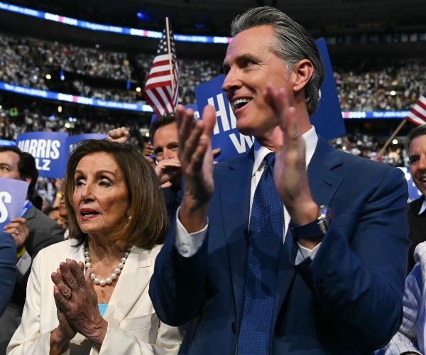 united states presidential democratic party campaign politics and history 