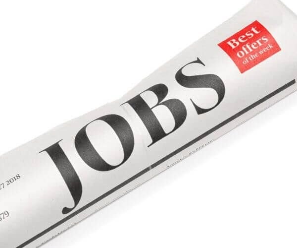 November payrolls data