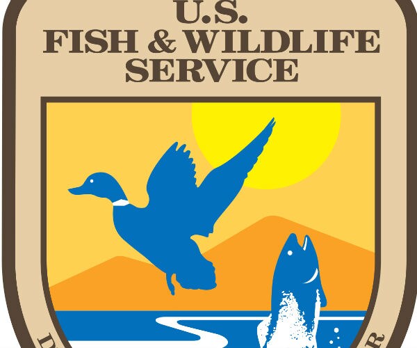 US First Loosened Limits on Lion Trophies, Then Elephants