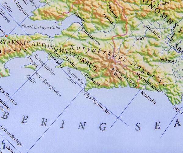 Hairy Sea Monster on Russia Beach a Baffling Discovery