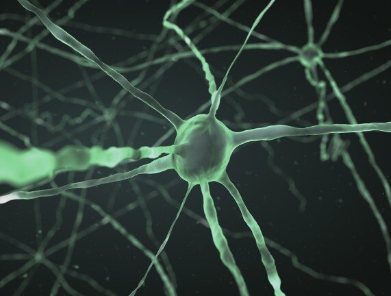 Half of Testicular Cancer Cases Linked to Genetics