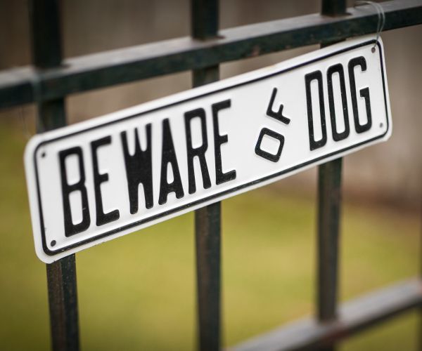 Dog Attacks on Mail Carriers Rise Again as Online Shopping Soars