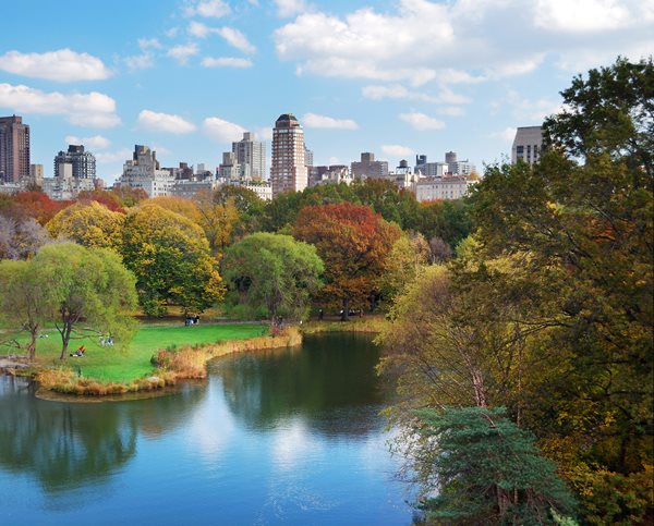 New York to Mark Coronavirus Comeback with Free Concert