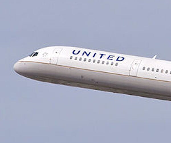 Dog Dies in Overhead Bin on United Flight, Airline Apologizes
