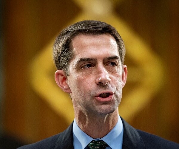 tom cotton speaks at hearing
