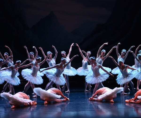 dancers performing swan lake