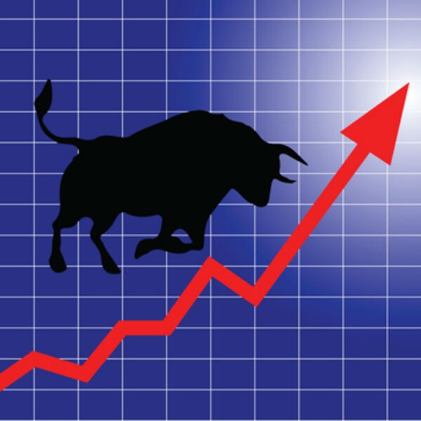 stock market bulls 