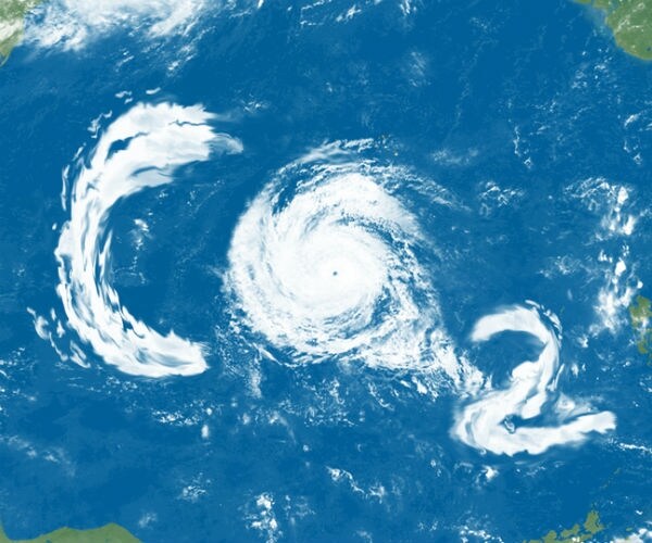 Fans of the Carbon Tax Have Been Snookered