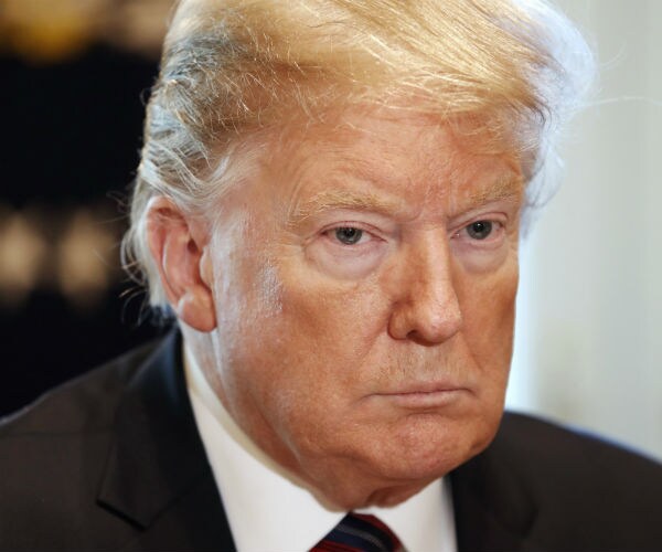 president donald trump 