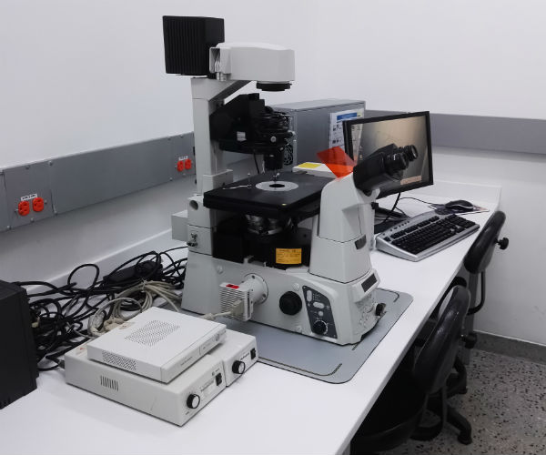 illustration of a man in a hospital bed with a woman at his bedside