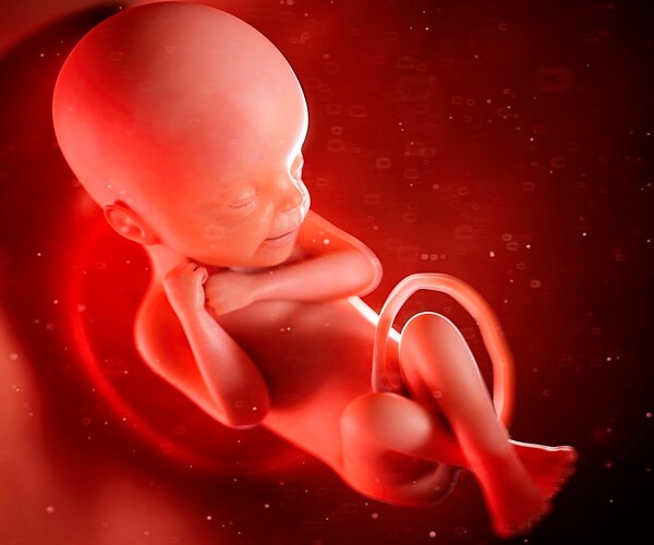 Abortion Among Major Issues at Stake in Wisconsin Court Race