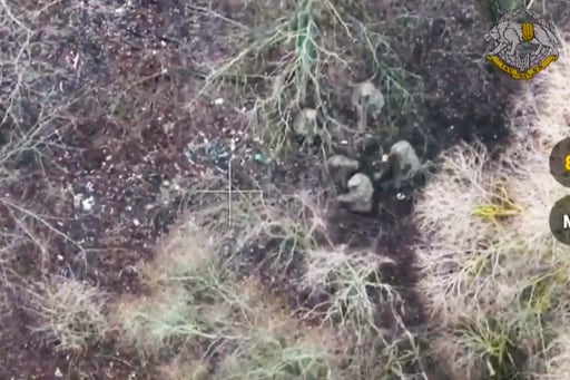 Inside the Operations That Took Captive 2 North Korean Soldiers Fighting Ukraine