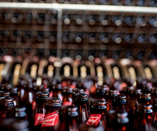 Used Budweiser bottles before they enter a sanitizing washer in a bottling plant.