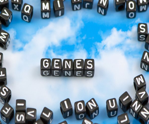 Autism, Schizophrenia, Bipolar Have Genetic Similarities 