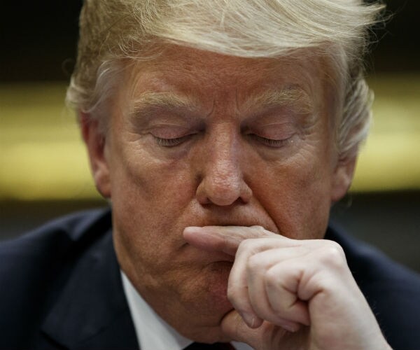 president donald trump