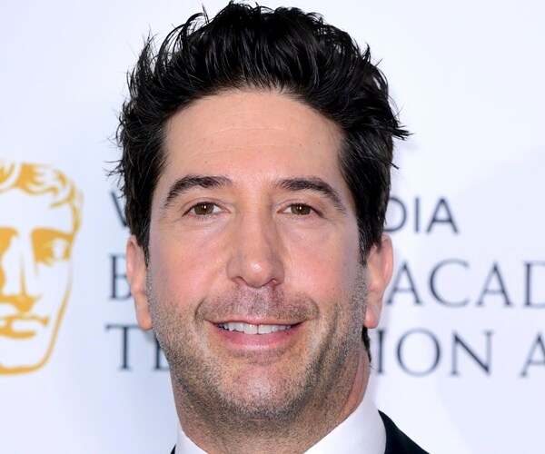 UK Judge Sentences Schwimmer Lookalike to 9 Months in Jail