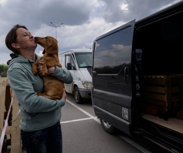 Volunteers Rally to Feed, Support Displaced Animals in Ukraine