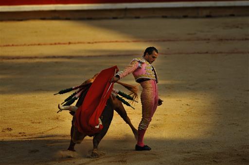 Running of the Bulls: 4 Runners Injured, None Gored in Spain