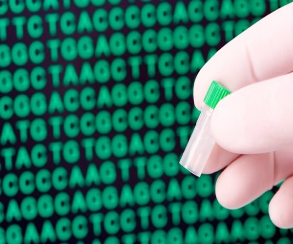 Enzyme That Influences Aging Decoded: Study