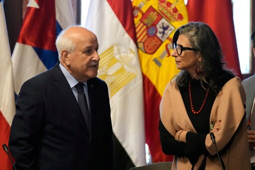 UN Rapporteur Calls for Global Action to Stop 'genocide' in Gaza