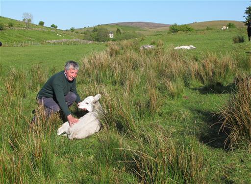 Fears of 'Brexit' Stark along Ireland's EU-blurred Border