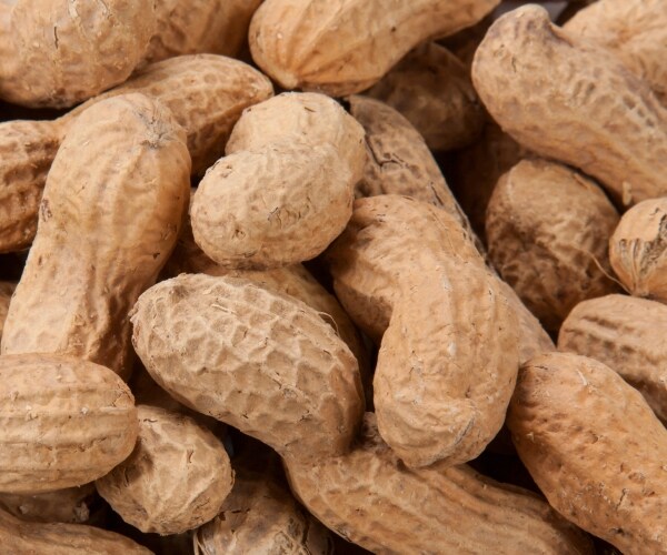 Doctors Urge Early Exposure to Prevent Peanut Allergies