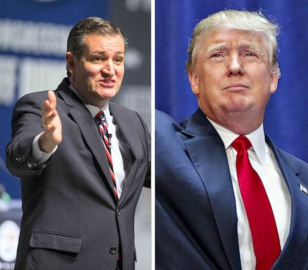 Cruz Sets Meeting with Trump, Praises His 'Bold, Brash Voice'