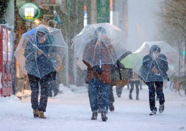 Japan Snowstorm Drops 11 Inches on Tokyo; At Least 11 Killed