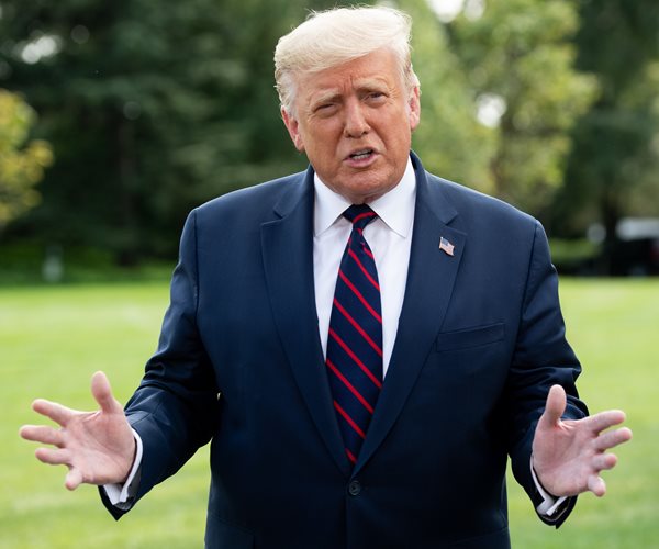 Donald trump on grass