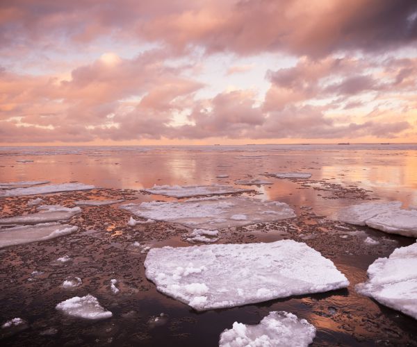 February World Temperature Record Suggests Global Warming Is Alive and Well