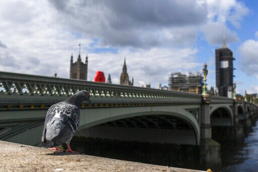 UK Lawmakers Balk at Order to Return and End Virtual Voting